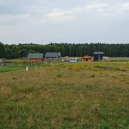 Przystan *
